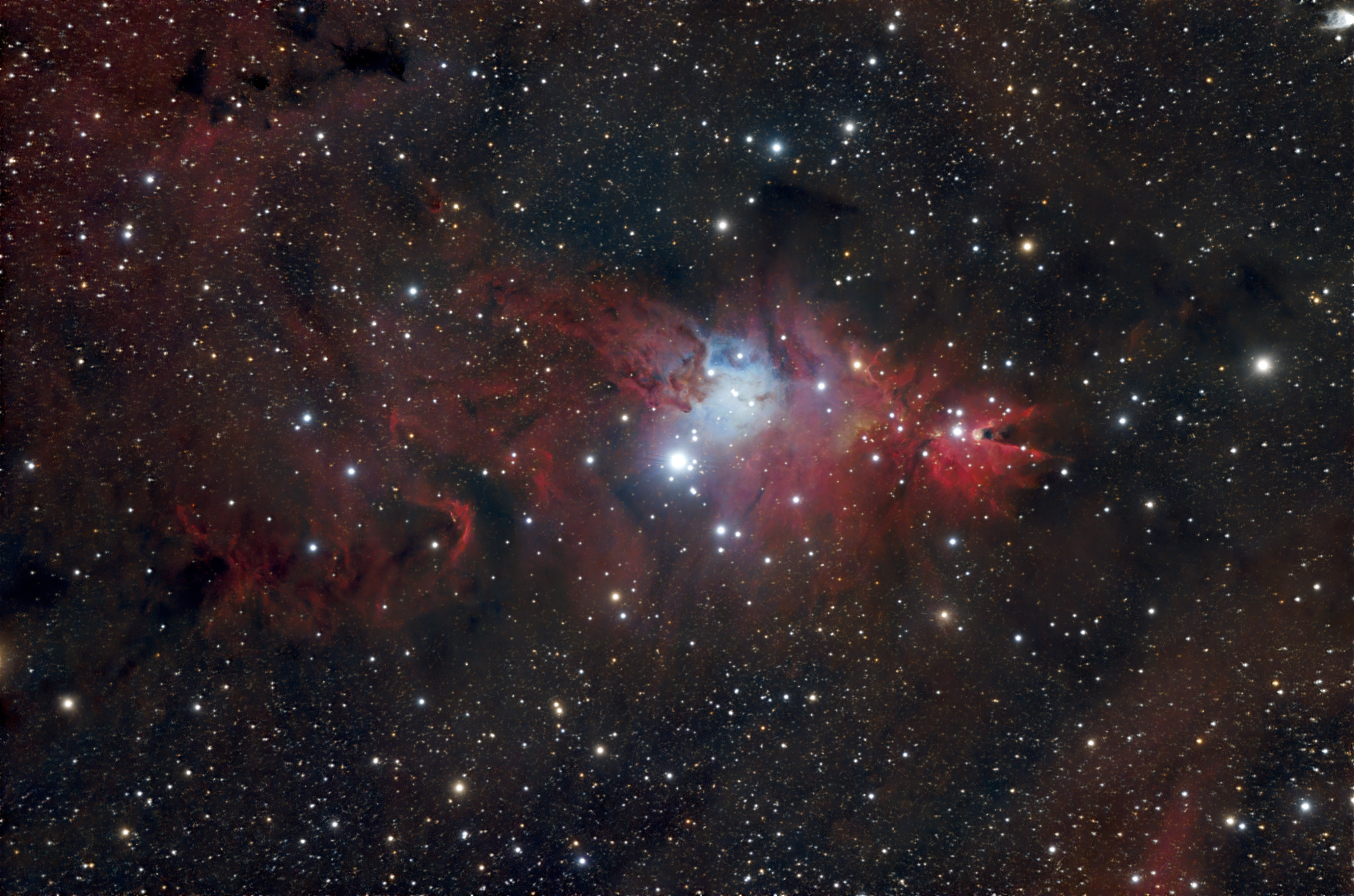 NGC 2264